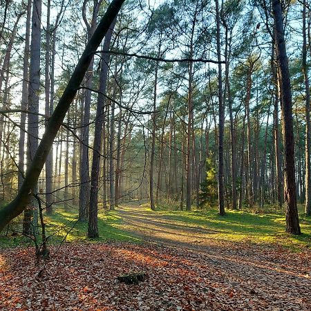 Apartamenty Sonata Miedzywodzie Bagian luar foto
